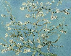 花咲くアーモンドの木の枝